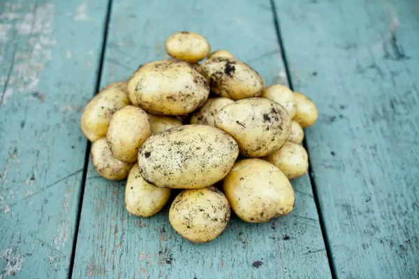 Potato 