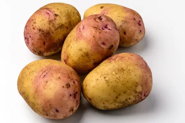 Potato 