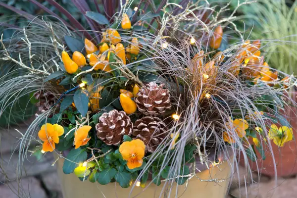 Gold and orange Christmas pot