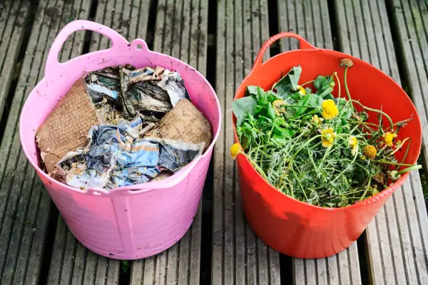 balanced-compost-ingredients-2