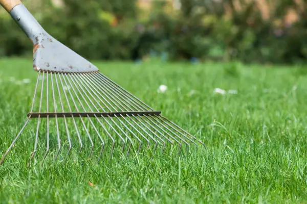 Tips for plener i små hager