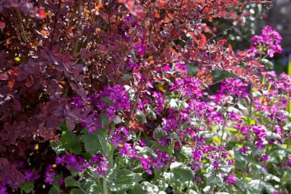 10 명의 아름다운 비엔날레가 성장합니다