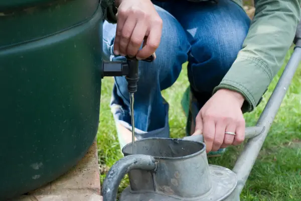 Using water from a butt