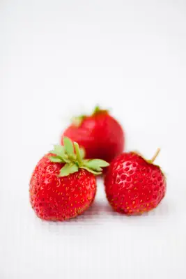 Fragaria X i ananas 'Elan'