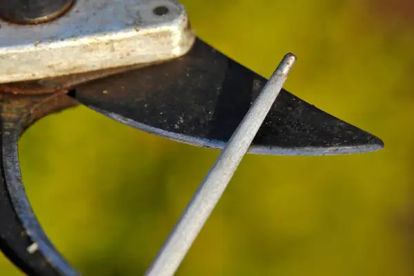 sharpening-secateur-blades-2