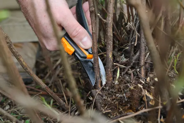 improve-the-air-circulation-2