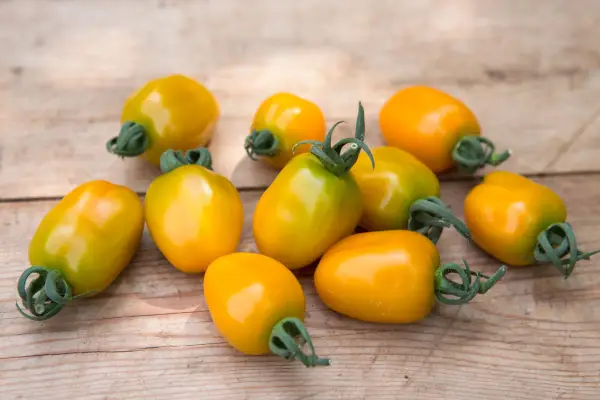 Best tomatoes to grow - tomato 