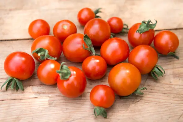 Best tomatoes to grow - tomato 
