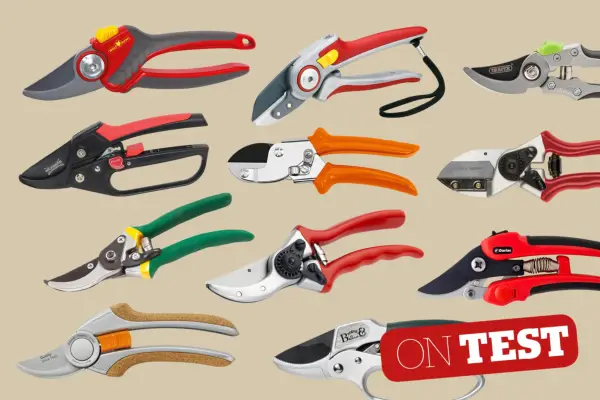 10 best secateurs