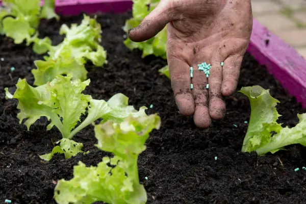 Avoid using slug pellets