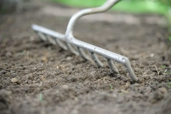 Raking the soil for sowing meadow flowers