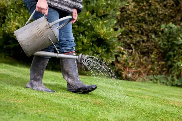 Watering a lawn