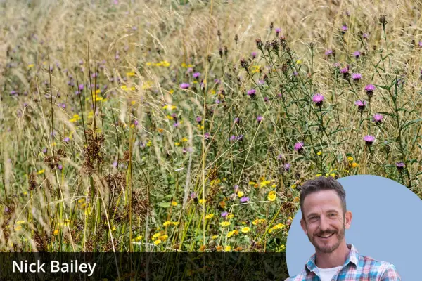 A criação de um jardim de prados realmente vale o aborrecimento?