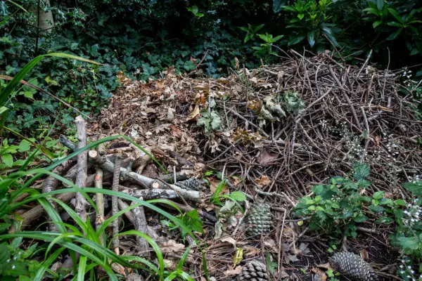 Sticks, twigs and leaves on a compost heap