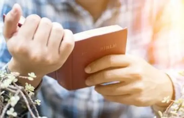 Trivia sulla Bibbia stampabile Domande e risposte per tutte le età