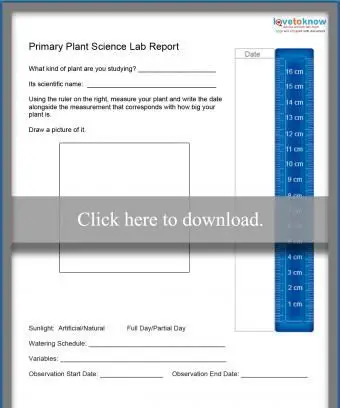 Feuille de travail sur l'expérience des plantes pour enfants