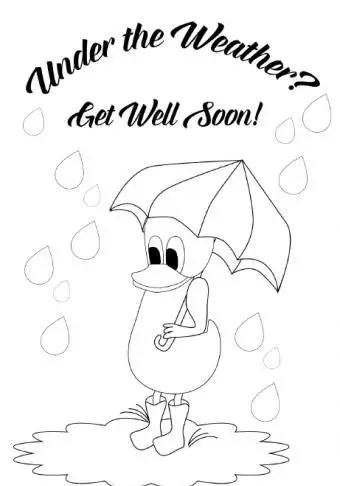 ברווז תקבל כרטיס.