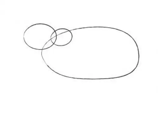 북극곰 머리와 몸의 스케치