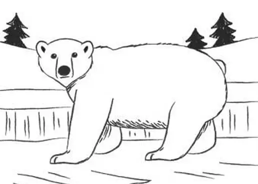 북극곰을 그리는 방법