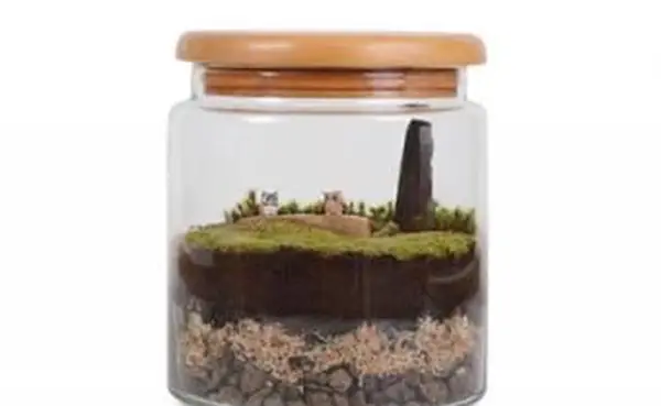Terárium pre otca