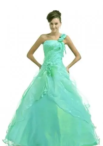 https://cf.ltkcdn.net/teens/images/slide/215376-567x850-one-shoulder-tulle.webp