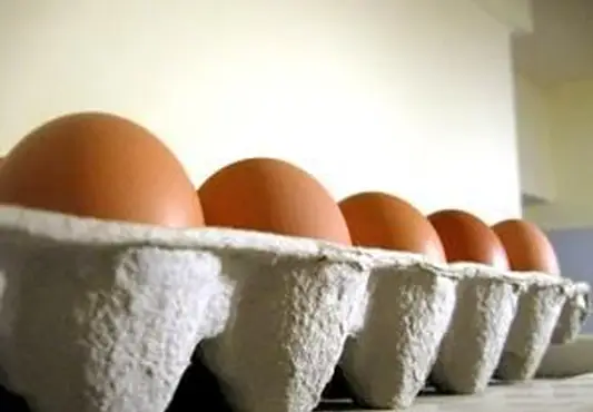 Ovoベジタリアンはどのようにしてタンパク質のニーズを満たすことができますか？