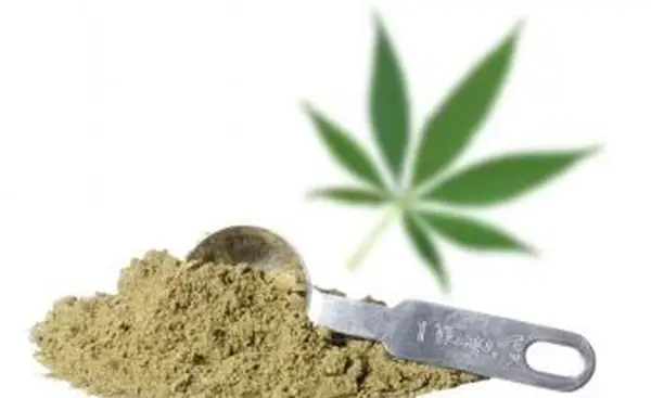 麻タンパク質の危険性：リスクと副作用