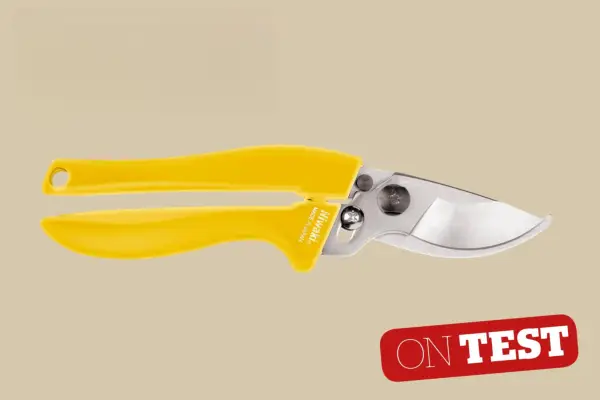 Revisione dei mainichi di Niwaki