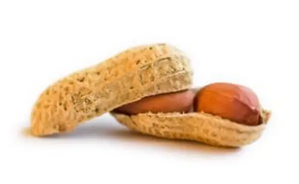 האם בוטנים גולמיים מסוכנים לאכילה?