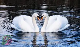 10 Tiere, die Liebe symbolisieren und kreative Möglichkeiten, die Symbole zu nutzen