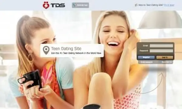 TDSWebサイトのスクリーンショット