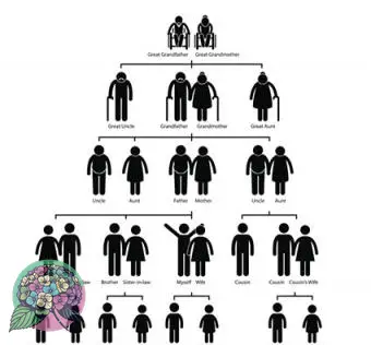 סמל אילן יוחסין