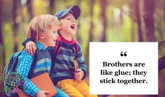 Citation drôle de frère