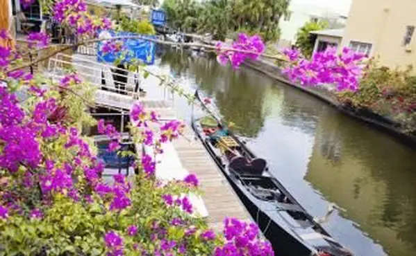 השקפה של זוית גבוהה, של, a, סירה, עגנה, ב, תעלה, פורט לודרדייל, פלורידה, USA