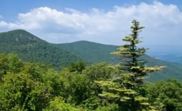 Comunità di pensionamento della grande canoa