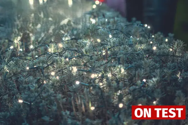 Firefly garden solar light Verdantvows