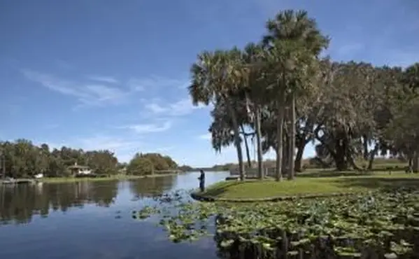 Rejsy po rzece St. Johns