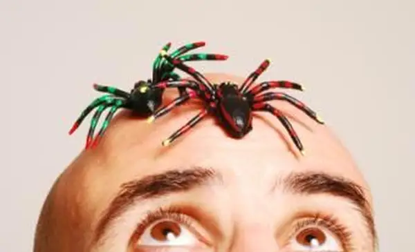 어른을위한 무해한 재미있는 장난