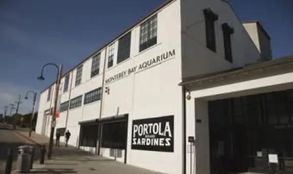 Como encontrar ingressos com desconto para o Monterey Bay Aquarium