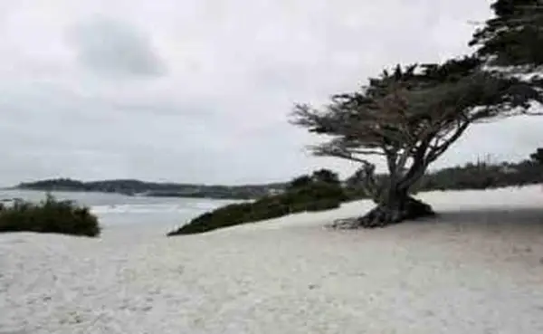 Hotel sull'oceano a Carmel