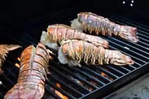 Grilltail.webp