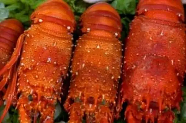 Homard à la vapeur.webp