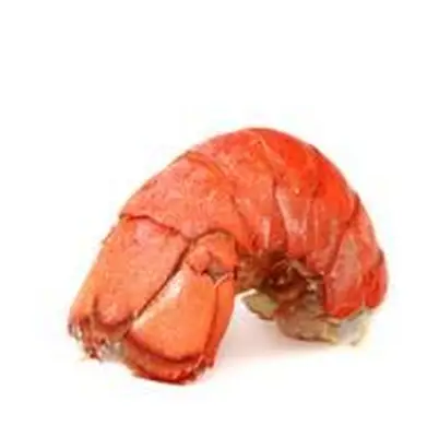 Le homard est délicieux.