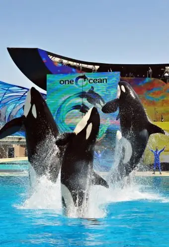 씨월드 샌디에이고 방문을위한 팁