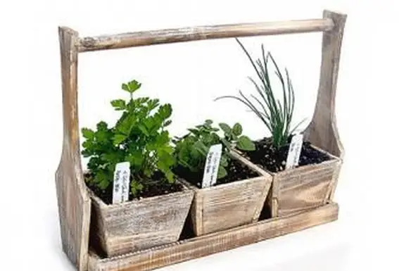 14 fantastici regali per la festa del papà per gli anziani