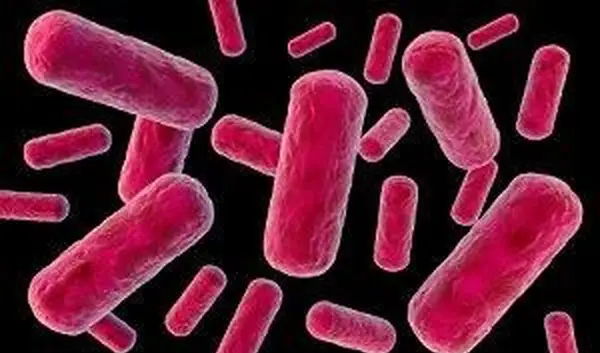 15 segni che hai una MST e cosa fare dopo