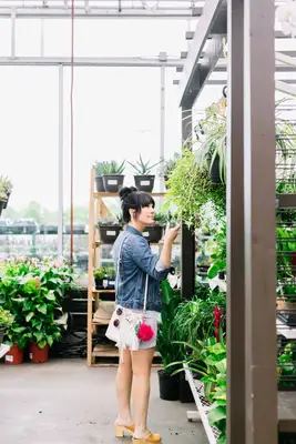 Style sœur: une nouvelle normale