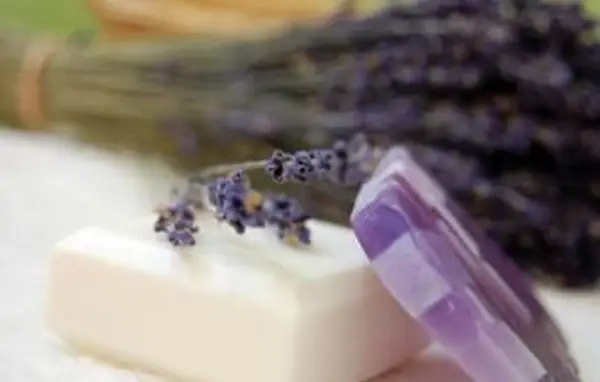 잿물없는 비누 만들기 방법