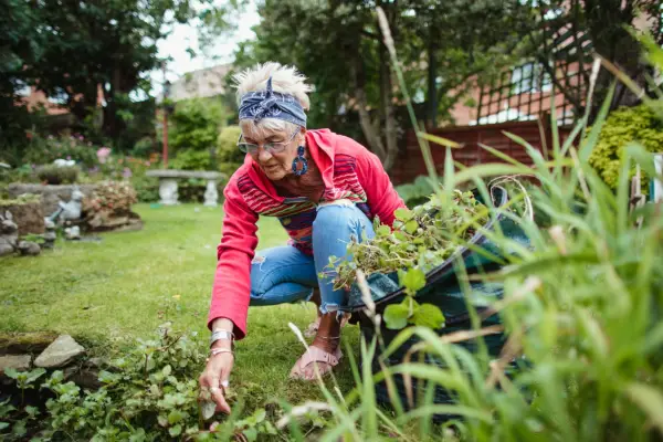 Woman removing duckweed from her pond. Getty Images
