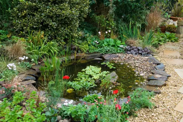 Garden pond